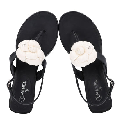 Chanel Lambskin Camellia Women's Thong Sandals 36.5 Black White