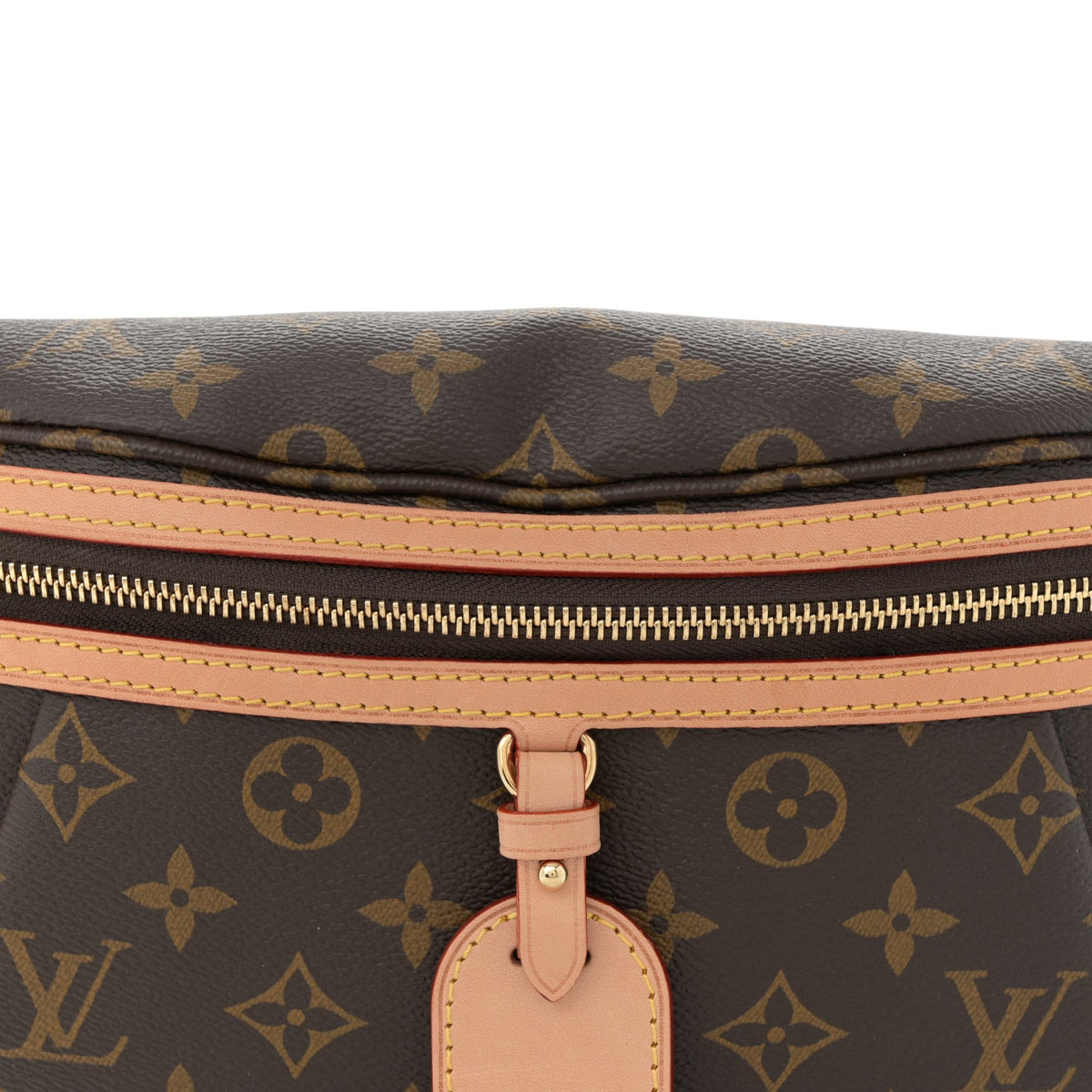 Monogram High Rise Bumbag Handbag