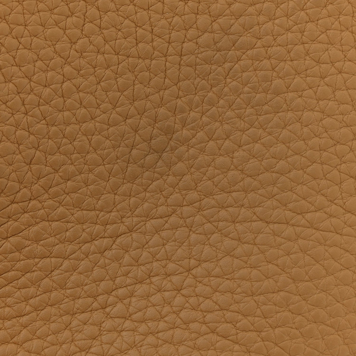 Taurillon Clemence Evelyne Tpm Biscuit Handbag
