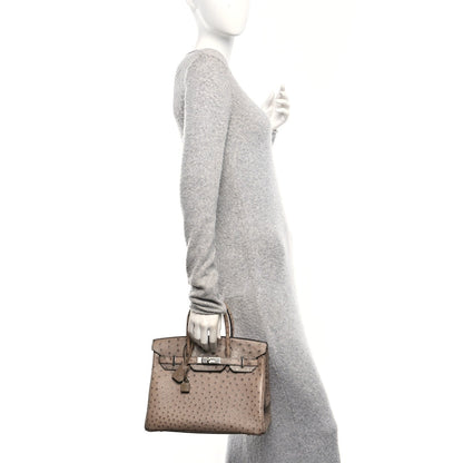 Ostrich Birkin 30 Mousse Handbag
