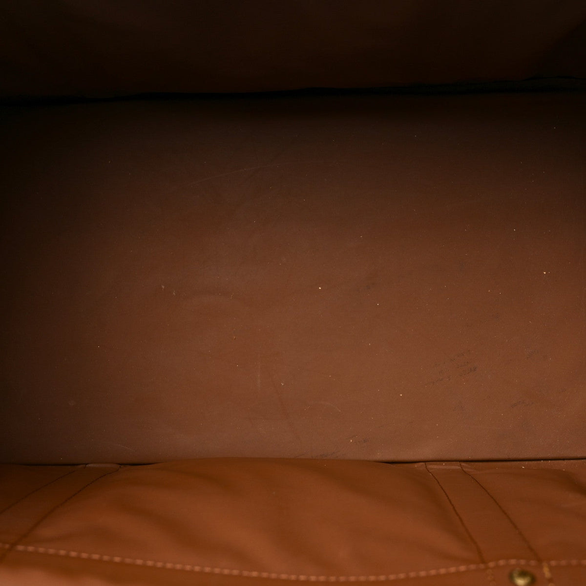 Monogram Sac Chien 40 Pet Carrier Handbag