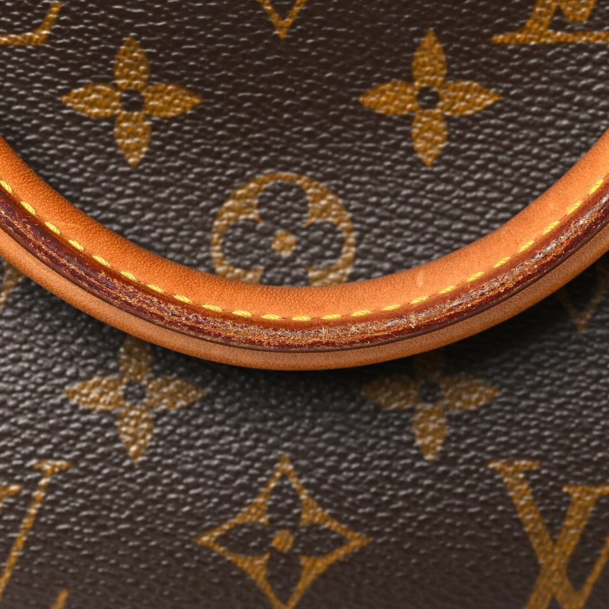 Monogram Ellipse Pm Handbag