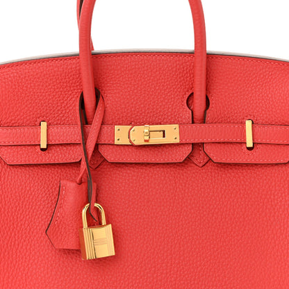 Togo Birkin 25 Rouge Pivoine Handbag