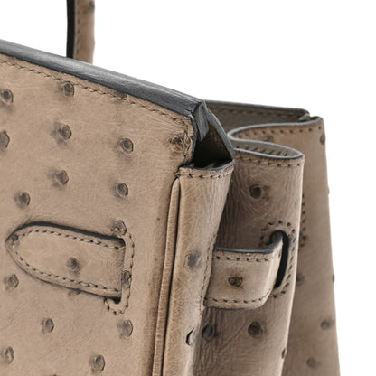 Ostrich Birkin 30 Mousse Handbag