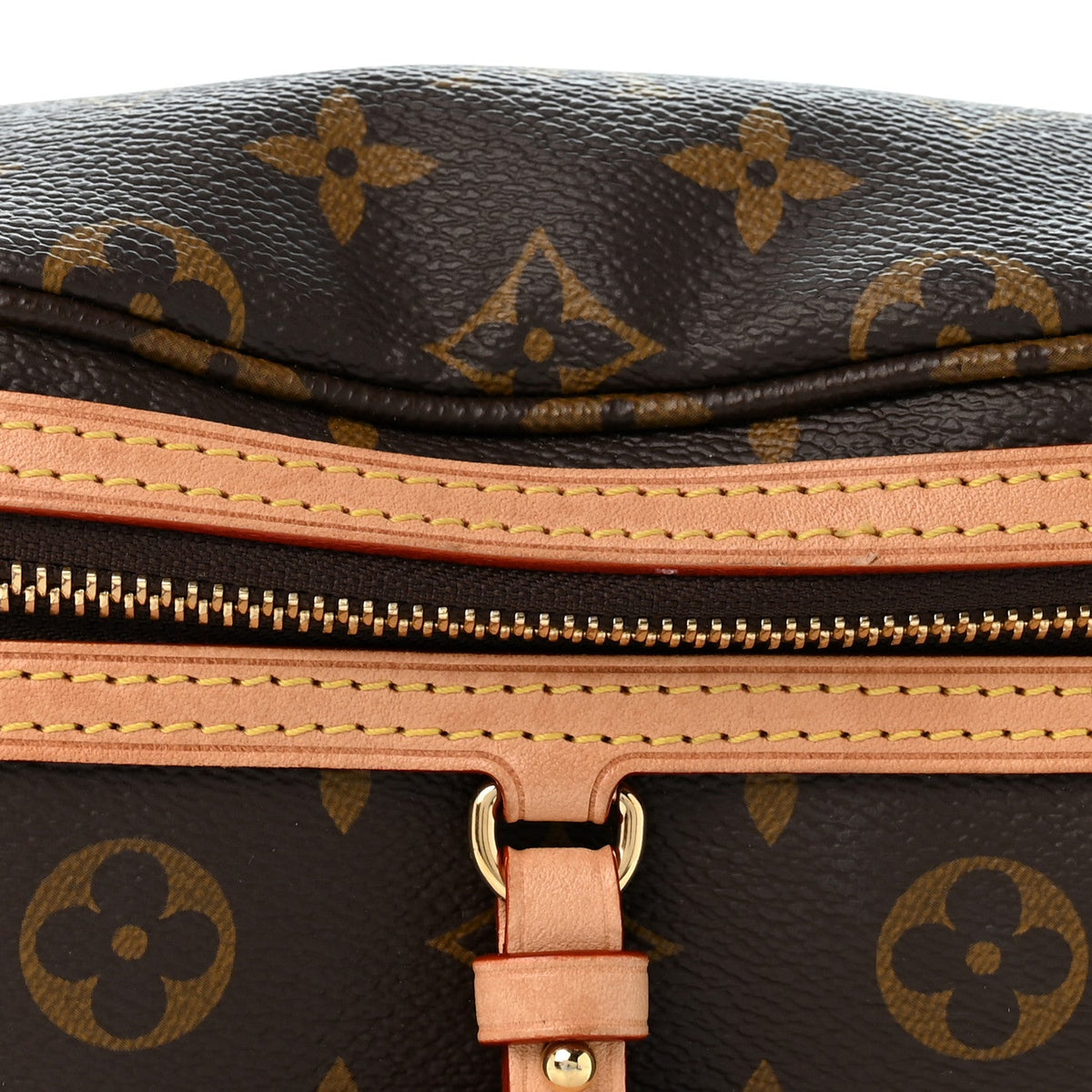 Monogram High Rise Bumbag Handbag