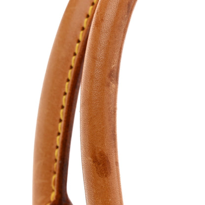 Monogram Ellipse Pm Handbag