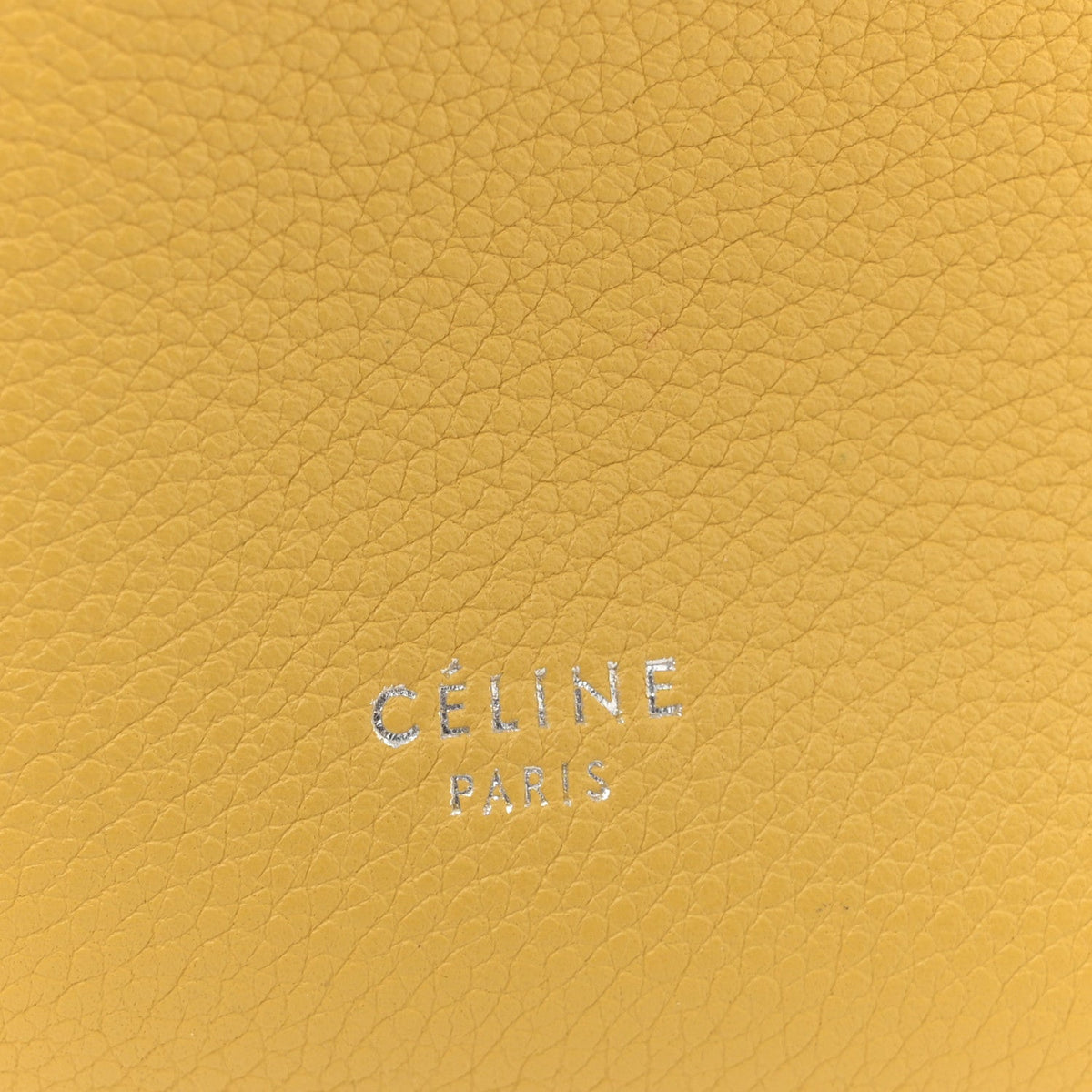 Small Calfskin Bucket Bag