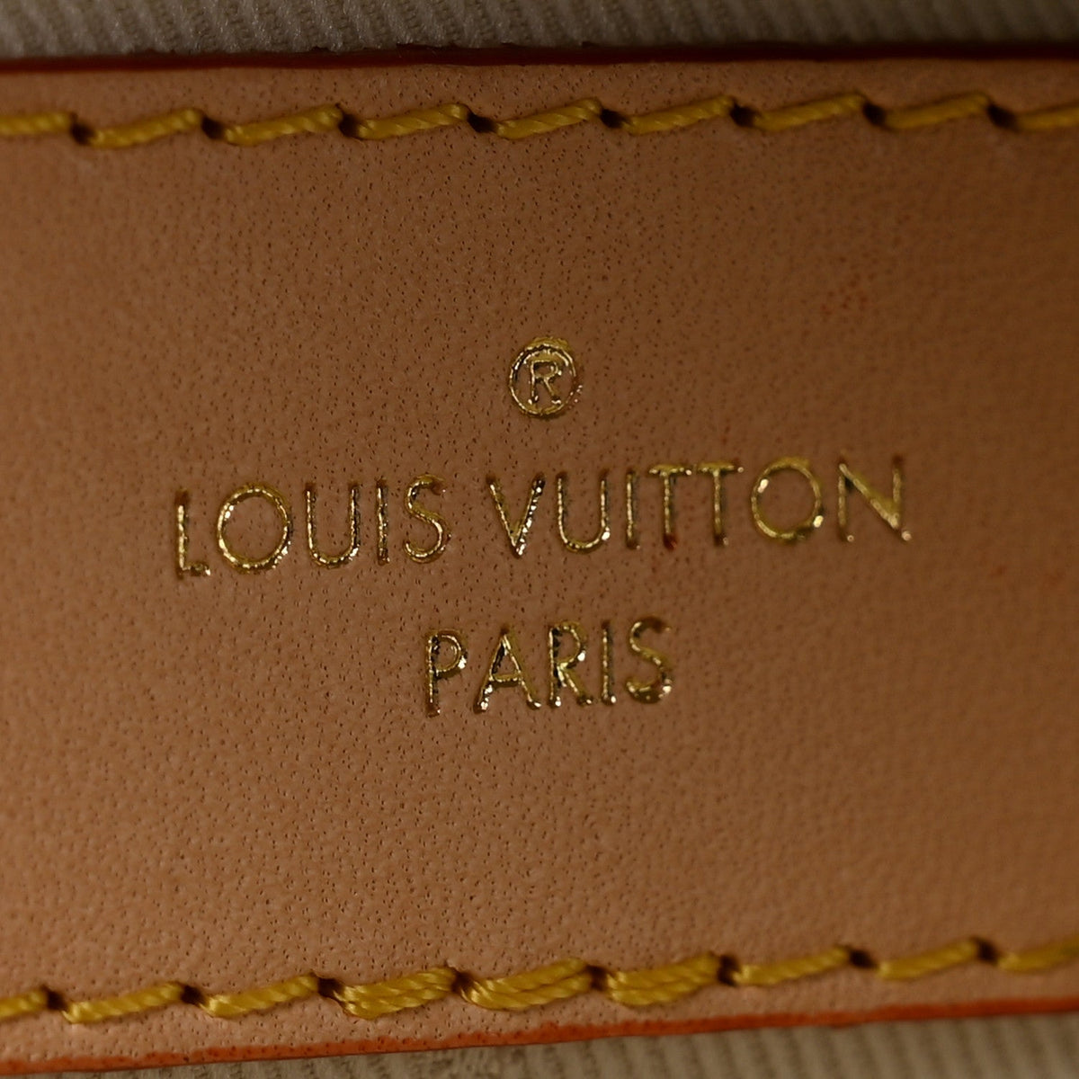 Monogram High Rise Bumbag Handbag