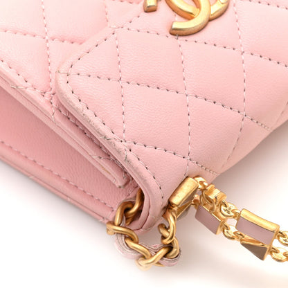 Mini Quilted Lambskin Flap Shoulder Bag - Pink