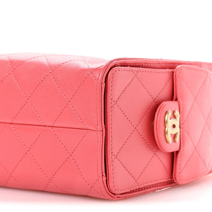 Mini Quilted Caviar Handbag
