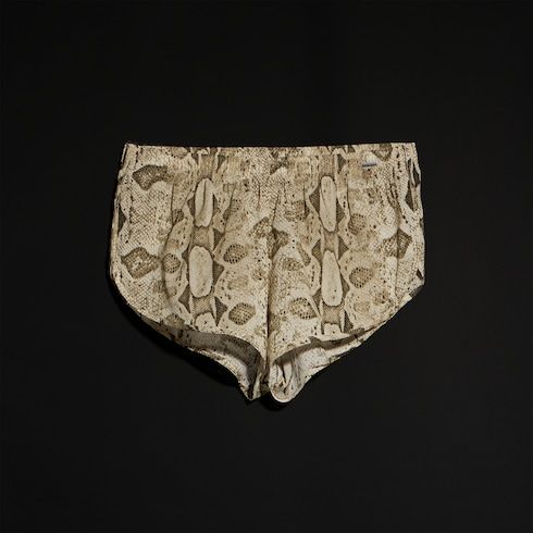Women's Printed Silk Shorts