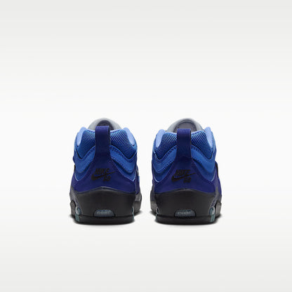 Air Max Ishod Unisex Skate Shoes With Exposed Max Air Cushioning